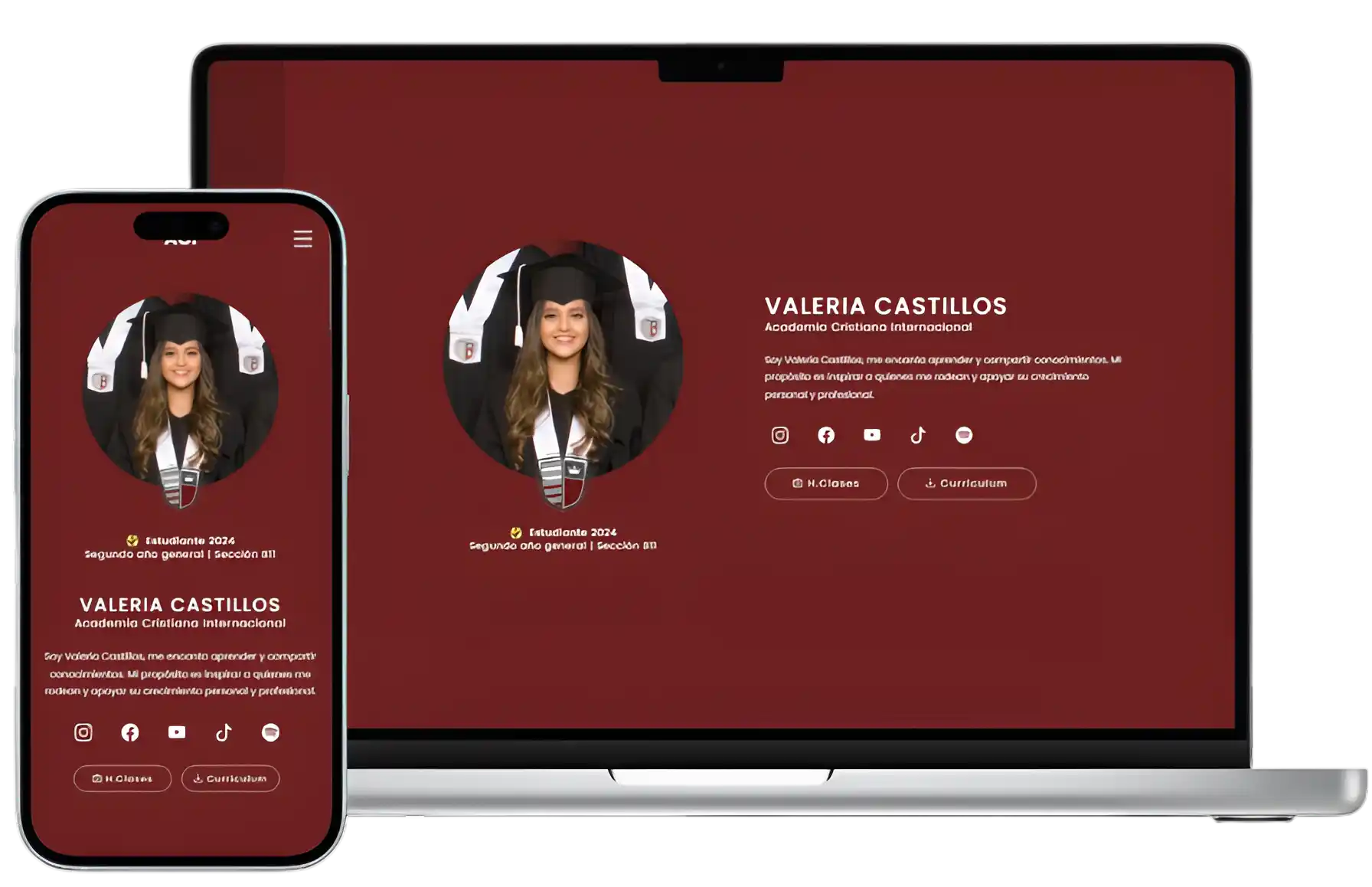 Imagen de Plataformas Educativas