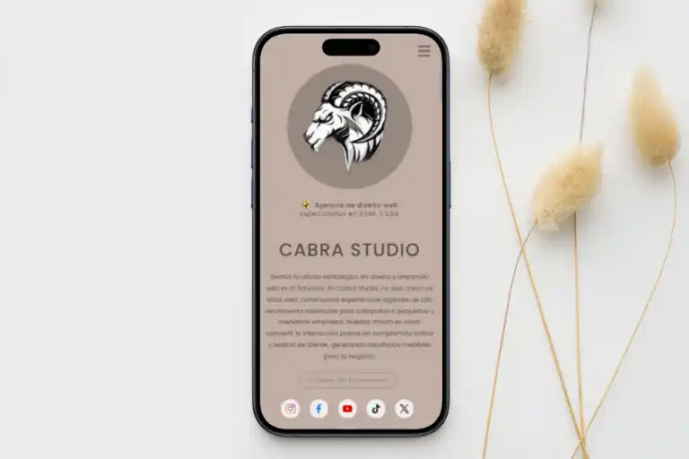 Diseño de Página Web de Presentación digitales